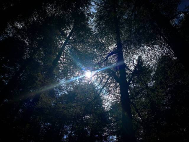 19092681_860846284064427_5645062907217462914_o