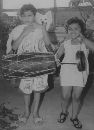 12938141_475156156011717_670845820590460604_n