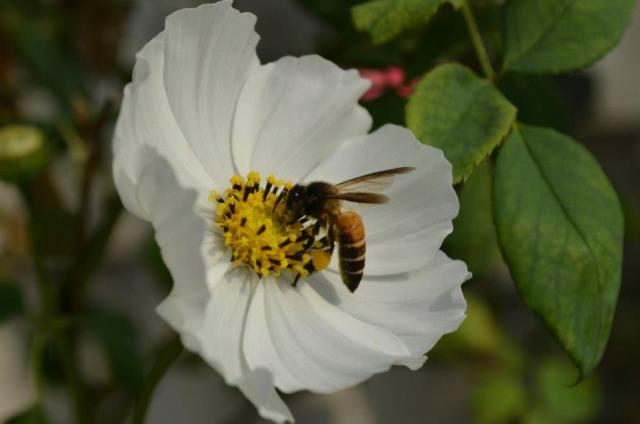 394829_153850498097346_796504567_n