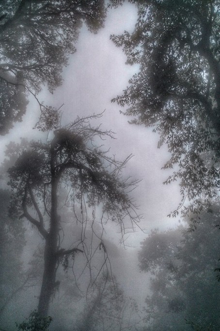 13174068_644990158983375_6183191993834125745_n